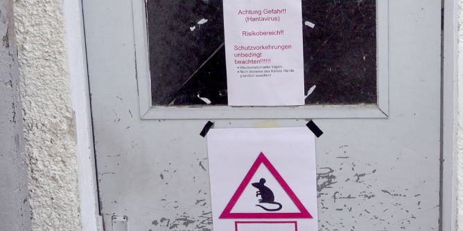 Hantavirus-Alarm