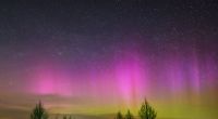 Polarlichter leuchten am Nachthimmel über einer Straße im Landkreis Märkisch-Oderland in Ostbrandenburg.