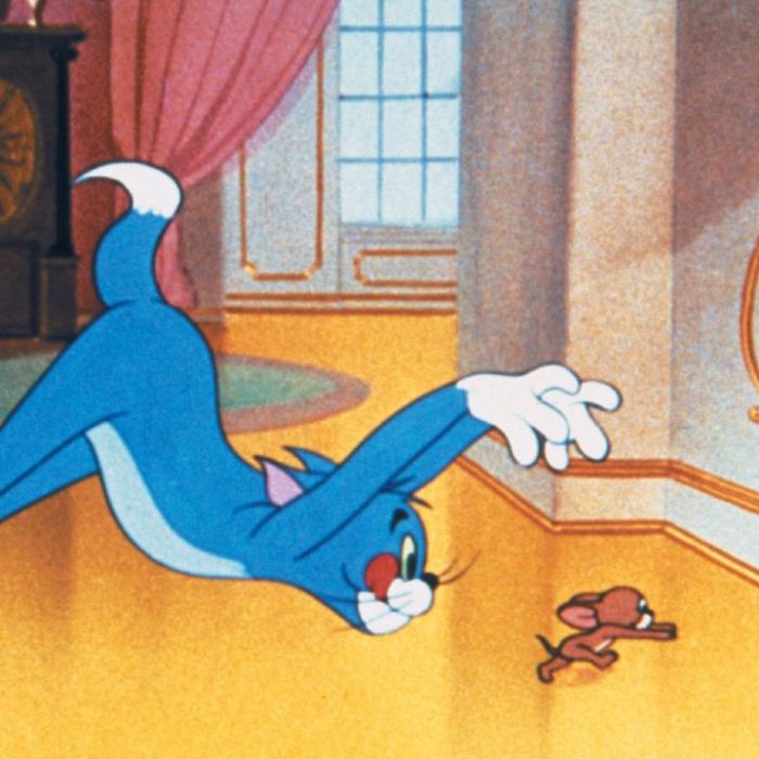 Wiederholung und Mediathek zur Sendung