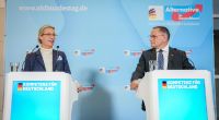 Die AfD-Vorsitzenden Alice Weidel und Tino Chrupalla können sich über einen weiteren Umfrage-Rekord für ihre Partei freuen.