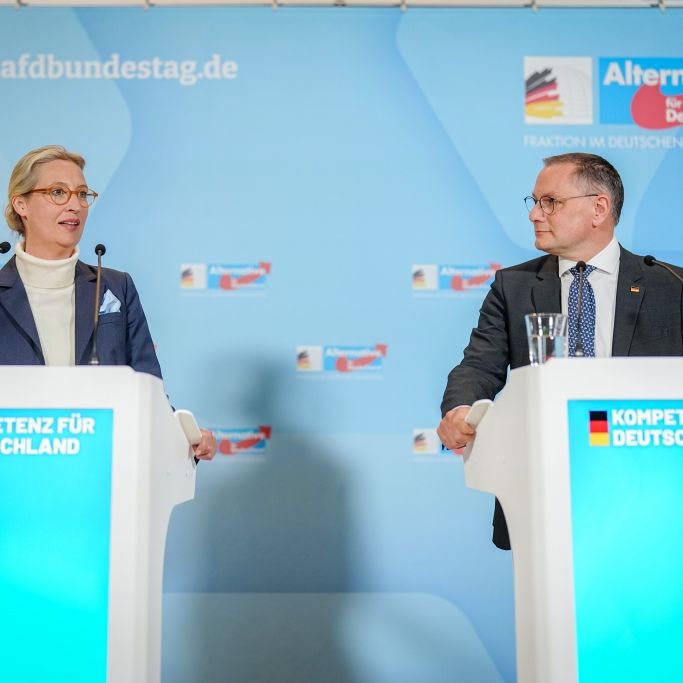AfD knackt Rekord - Alice Weidel und Tino Chrupalla klettern