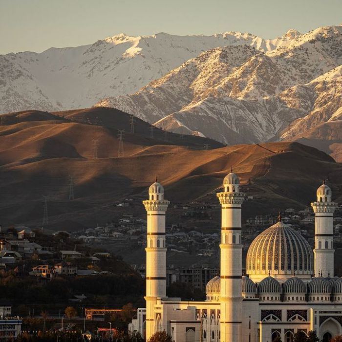 Wiederholung der Sendung im TV und online