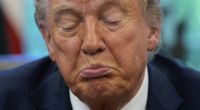 Wie angemessen ist Donald Trumps Dinner-Party?
