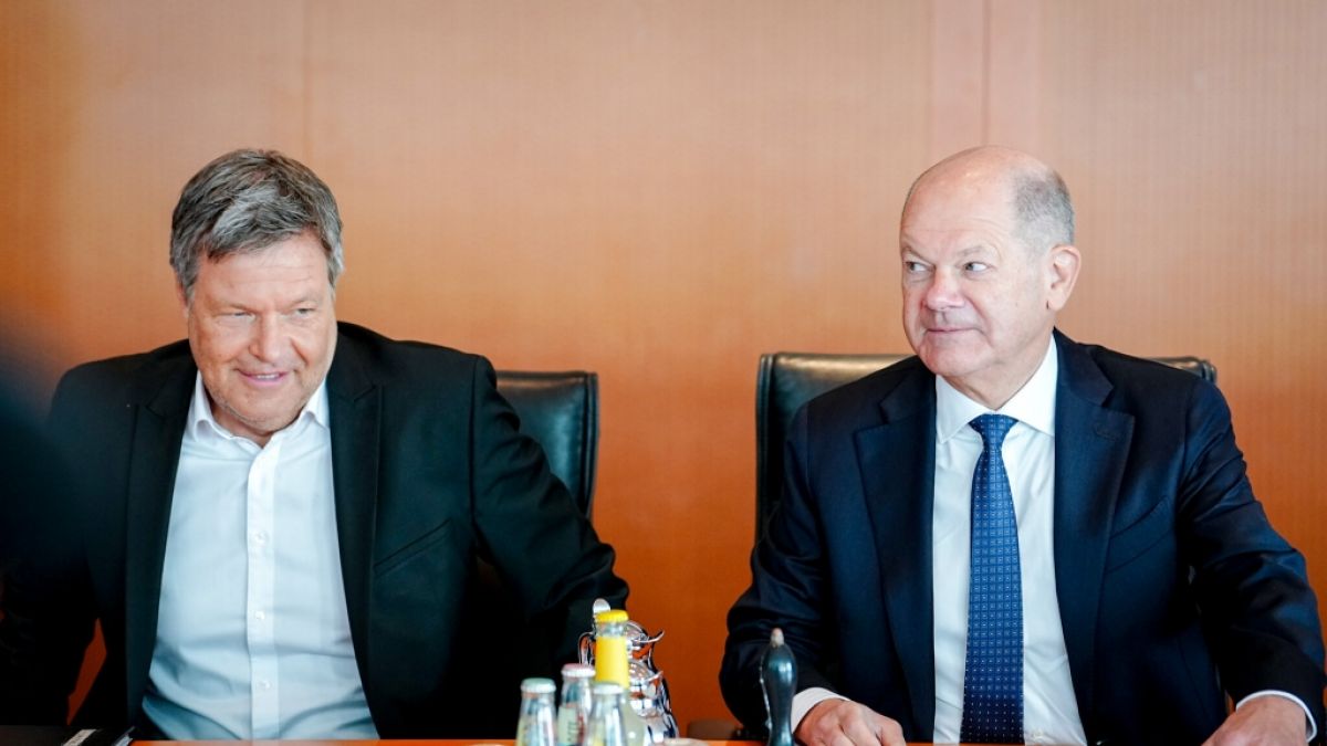 Robert Habeck und Olaf Scholz müssen sich keine Sorgen um ihre finanzielle Sicherheit machen. (Foto)