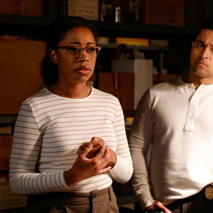 Wiederholung von Episode 12, Staffel 22 online und im TV
