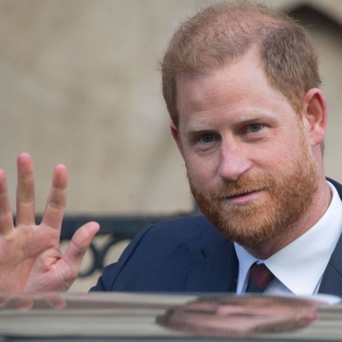 Streitsüchtiger Königssohn erfüllt frühe Prophezeiung von Prinzessin Diana