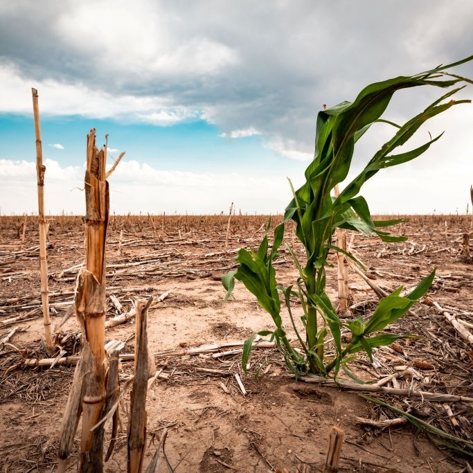 Endlose Hitze-Welle im Sommer? Wetter-Experten sind alarmiert