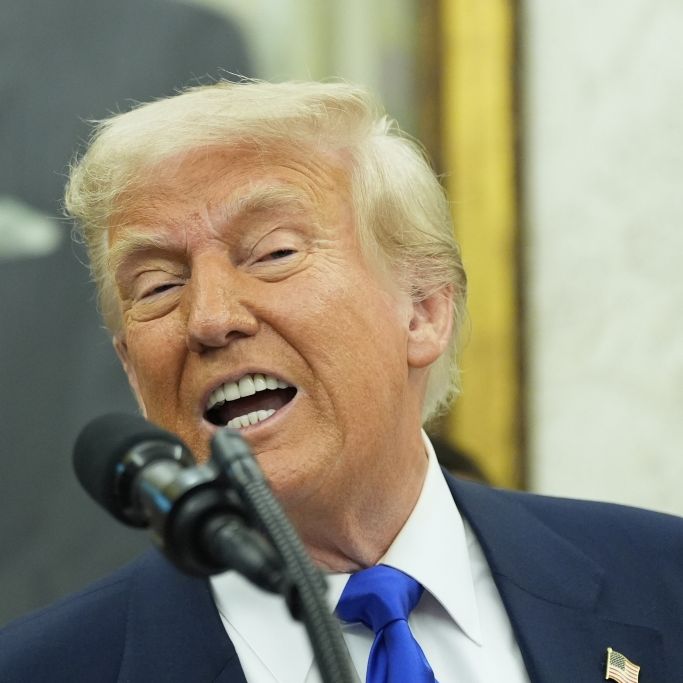 Verfassungsbruch mit Ansage? Trump-Vorhaben bringt MAGA-Ultras zum Ausrasten