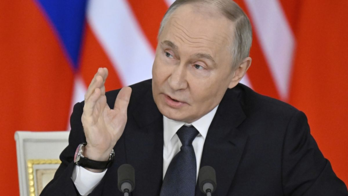 Könnte Wladimir Putin die Nato angreifen? Könnte Wladimir Putin die Nato angreifen? (Foto)