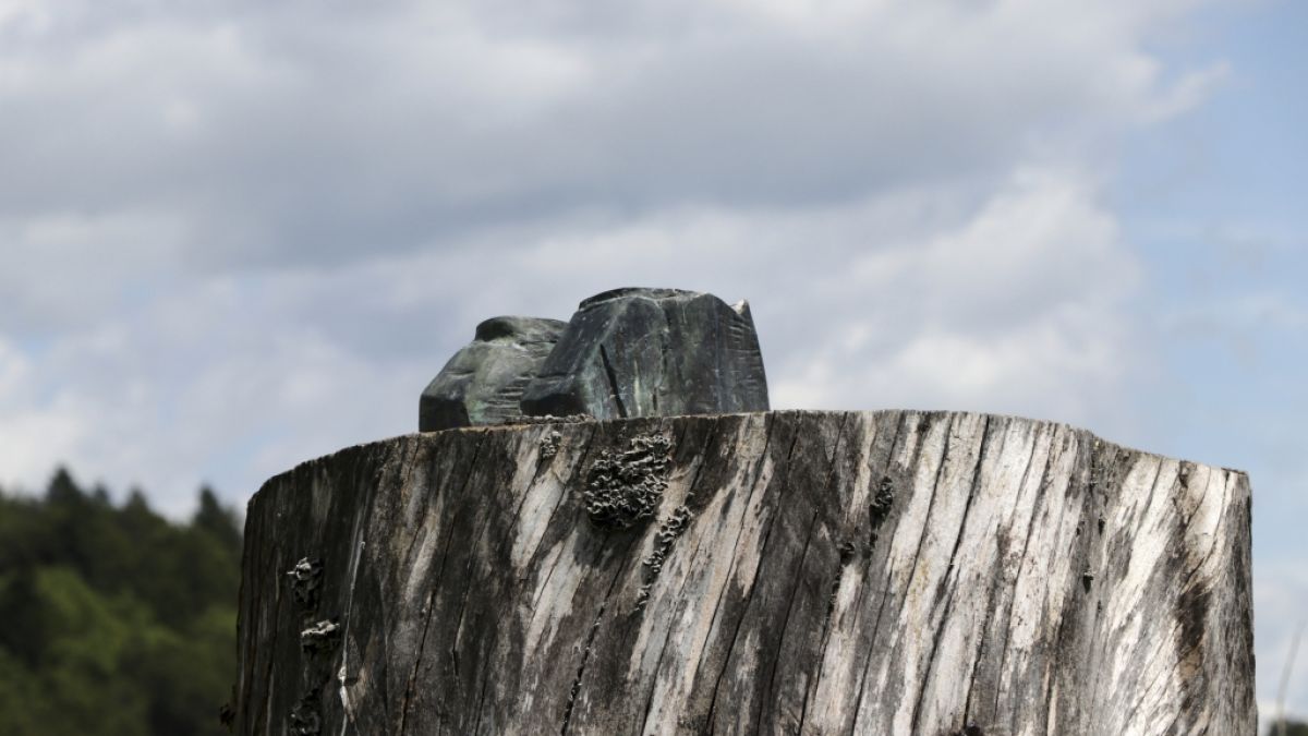 Auf dem Baumstumpf sind nur noch die Füße zu finden. Auf dem Baumstumpf sind nur noch die Füße zu finden. (Foto)
