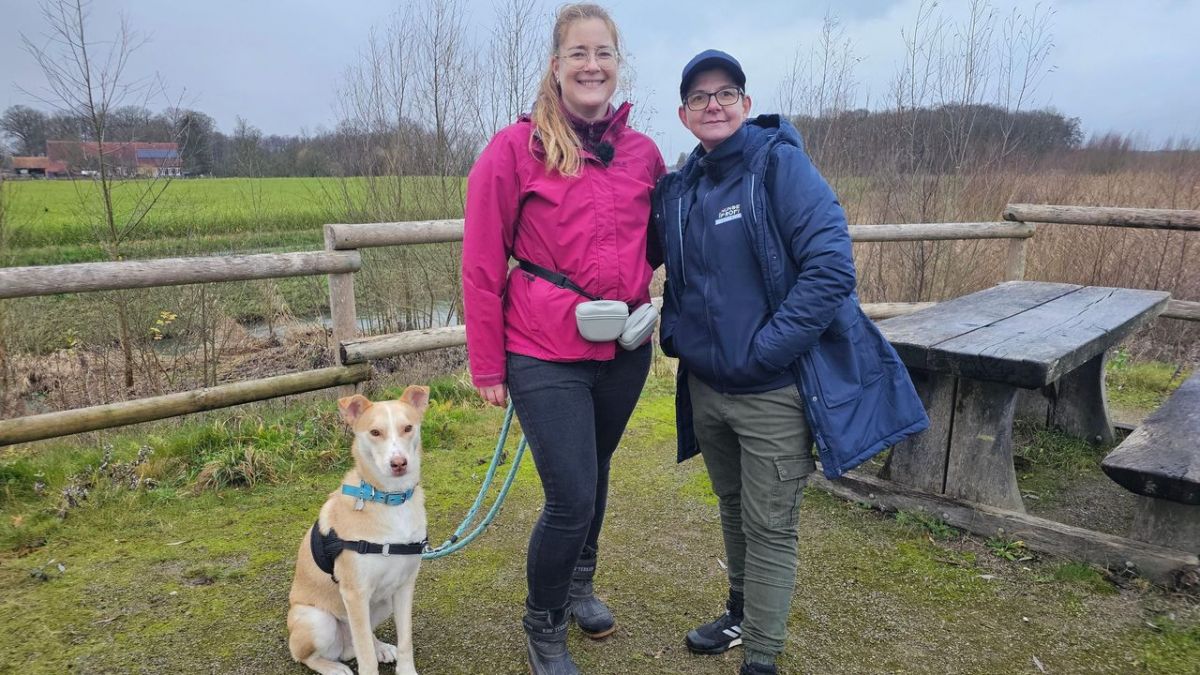 Der Hundeprofi - Rütters Team bei VOX Der Hundeprofi - Rütters Team bei VOX (Foto)
