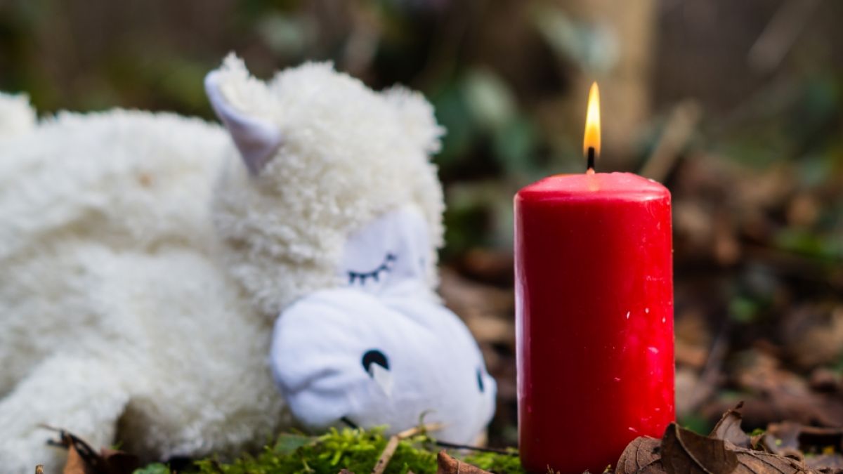 Influencerin Emilie Kiser verlor ihren dreijährigen Sohn durch einen schrecklichen Unfall. (Foto)