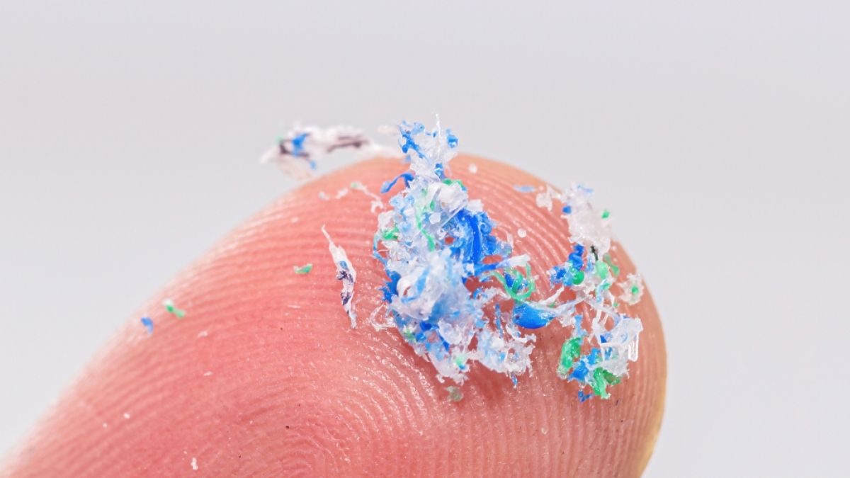 Mikroplastik kann laut aktuellen Studien Depressionen auslösen. Dabei wird es häufig über Junkfood aufgenommen. Mikroplastik kann laut aktuellen Studien Depressionen auslösen. Dabei wird es häufig über Junkfood aufgenommen. (Foto)