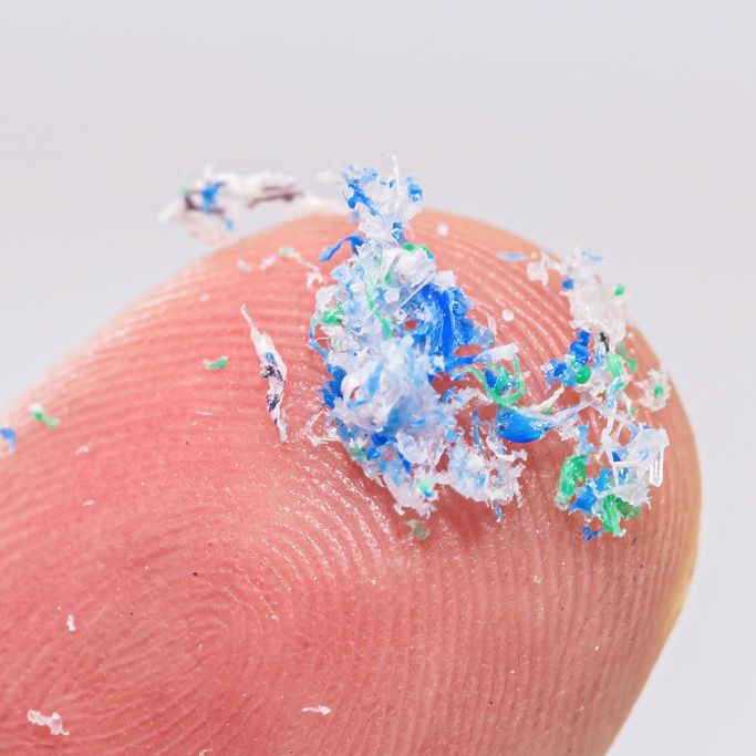 Mikroplastik in Fast Food kann Depressionen auslösen