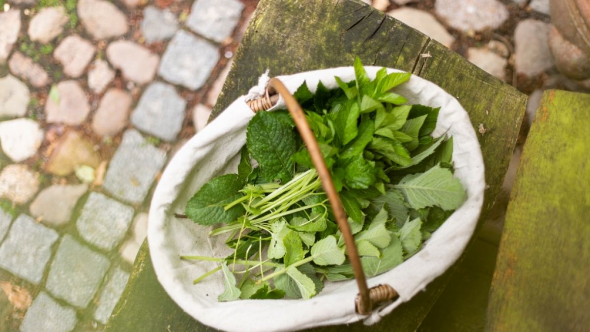 #Teekräuter zusammenschließen: Mit diesen Kräutern können Sie sich eigene Teemischungen kreieren