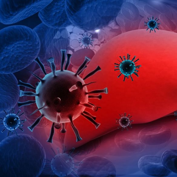 Gefährliche Virus-Ausbreitung in Europa - Wovor jetzt gewarnt wird