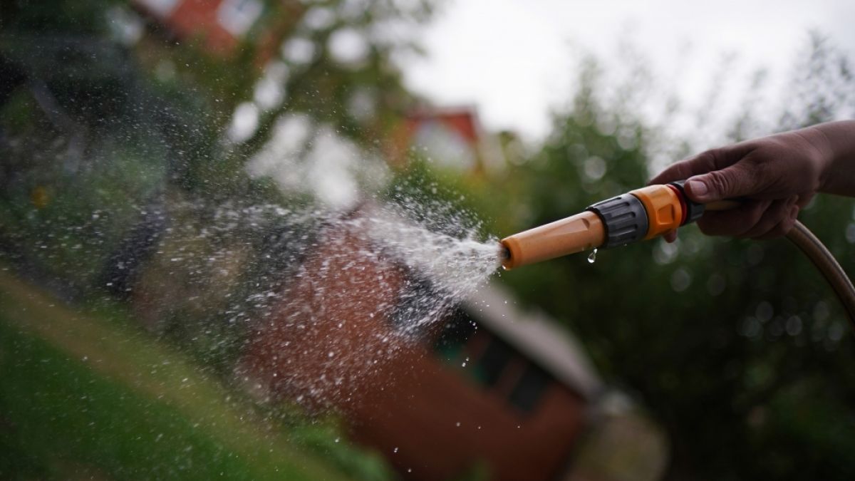Die Allzweckwaffe im Kampf gegen die Trockenheit: Der Gartenschlauch ist im Sommer Ihr bester Freund. Die Allzweckwaffe im Kampf gegen die Trockenheit: Der Gartenschlauch ist im Sommer Ihr bester Freund. (Foto)