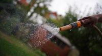 Die Allzweckwaffe im Kampf gegen die Trockenheit: Der Gartenschlauch ist im Sommer Ihr bester Freund.
