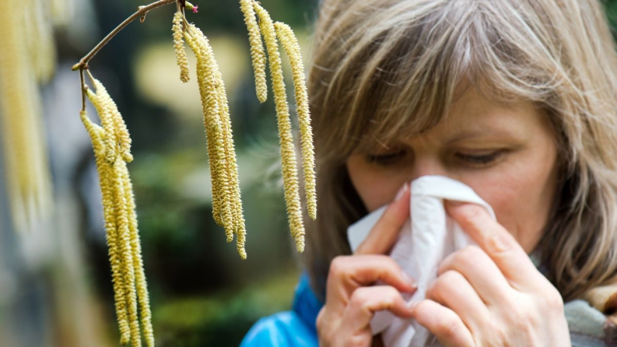 Jedes Frühjahr kommt der lästige Heuschnupfen wieder - doch wussten Sie, dass die Ernährung die Allergie beeinflussen kann? (Foto)