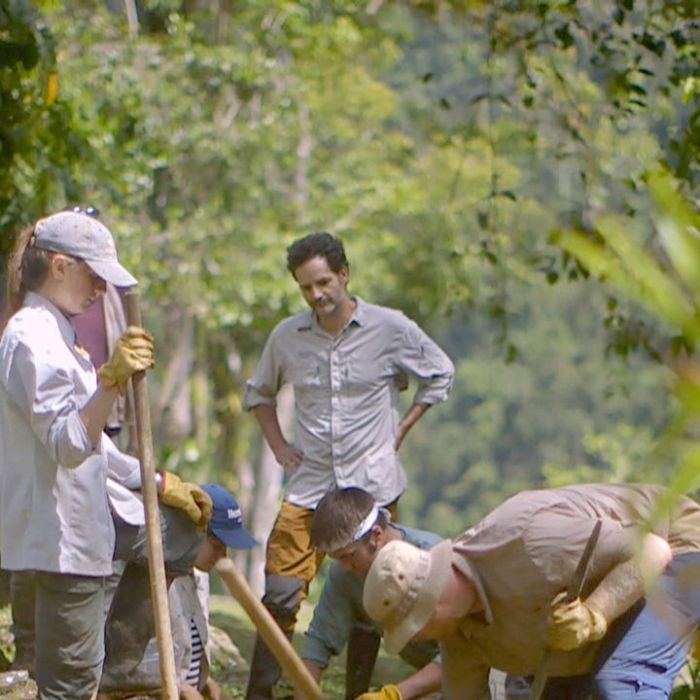 Wiederholung der Dokureihe online und im TV