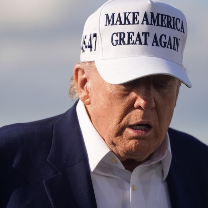 Donald Trump wird für seinen Zickzack-Kurs in der Handelspolitik verspottet. Und zwar mit TACO-Memes. 
