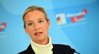AfD-Chefin Alice Weidel stellt immer wieder Strafanzeigen wegen Beleidigungen.
