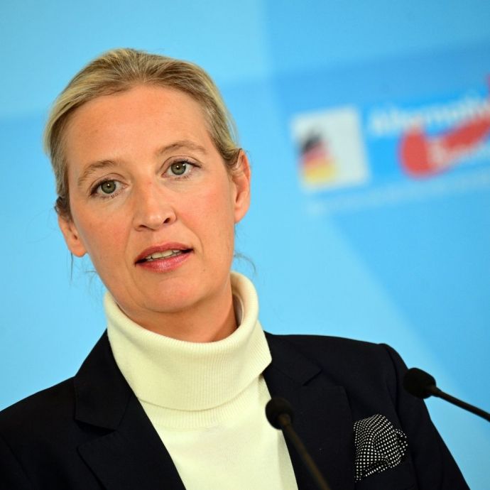 Weidel stellte Strafanzeigen - Bericht deckt Doppelmoral der AfD auf