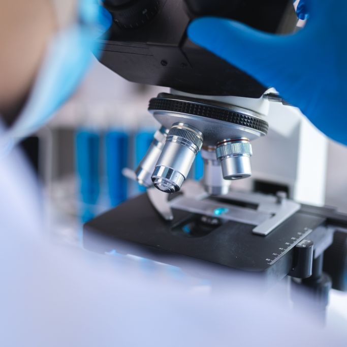 Forscher zeigen erste Studien zu revolutionären Krebstherapien
