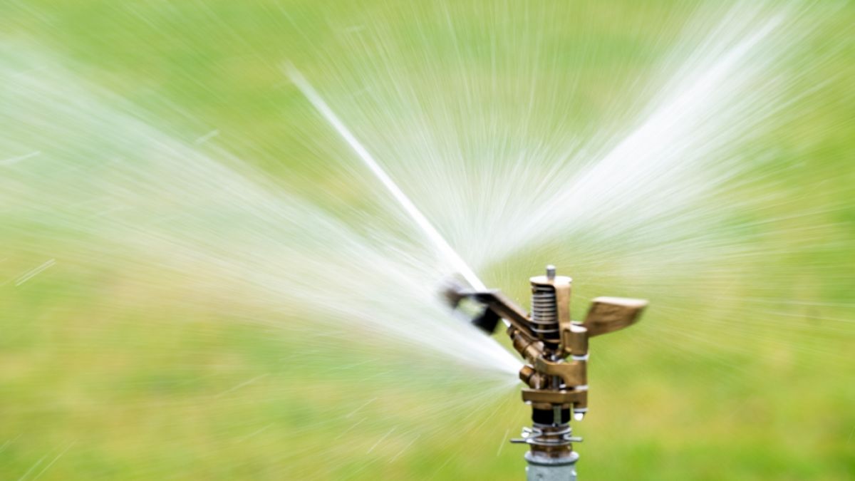 Ein Rasensprenger dreht sich auf einer Wiese (Symbolbild) (Foto)