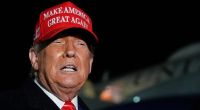 Donald Trump will 
