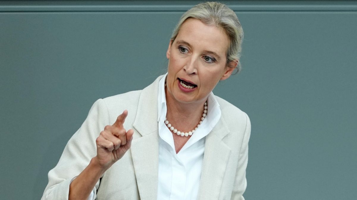 Nächster Eklat in der Partei von Alice Weidel: Ein muslimenfeindlicher Post im Netz sorgt für Empörung. (Foto)