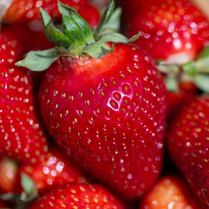 Erdbeeren für unter zwei Euro: Wettereinbruch lässt Preise purzeln