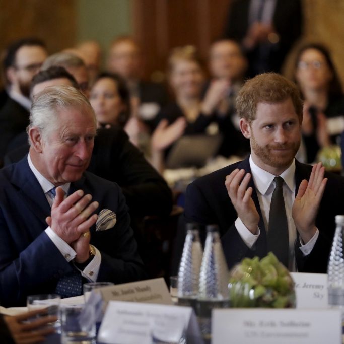 So weit reicht König Charles' Enttäuschung wegen Harry wirklich zurück
