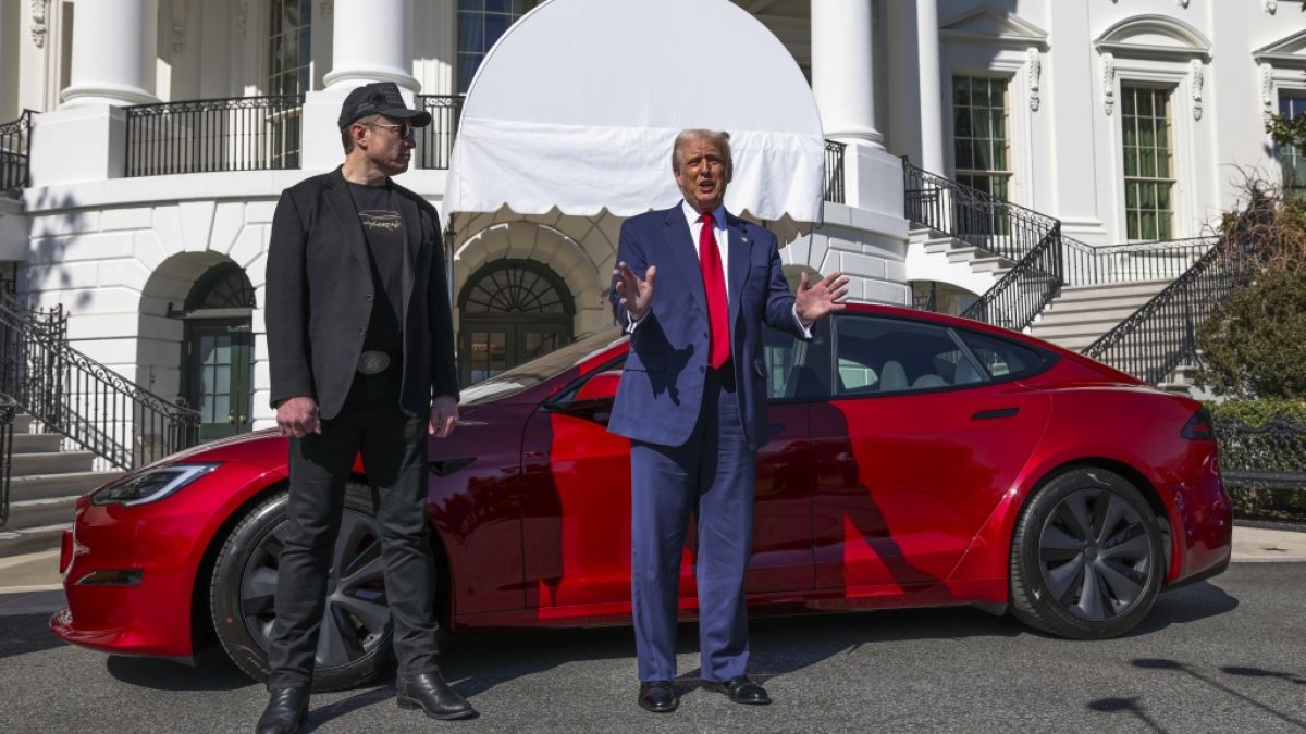 #Donald Trump räumt hinauf: US-Vorsitzender will Elon-Erinnerungsstück unumkehrbar loswerden