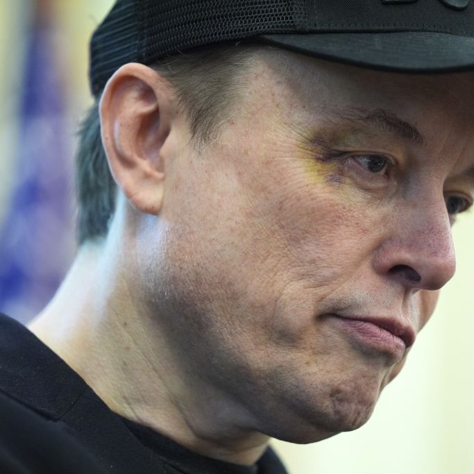 Ex-Trump-Vertrauter will Sonderermittler auf Tesla-Chef ansetzen