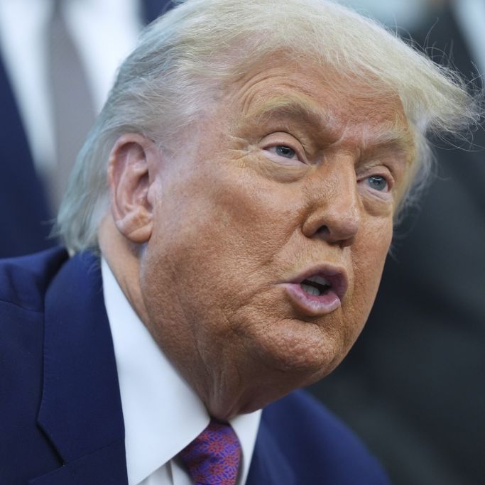 Trump-Gegner planen 