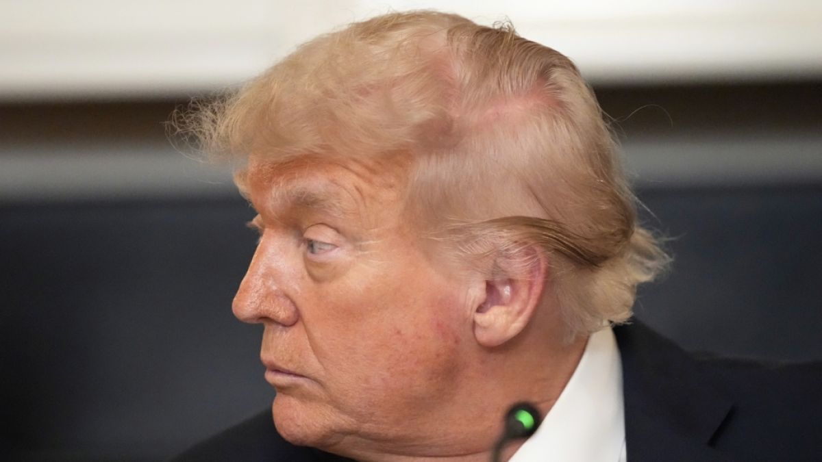Gegen Donald Trumps Militärparade regt sich Widerstand. Gegen Donald Trumps Militärparade regt sich Widerstand. (Foto)