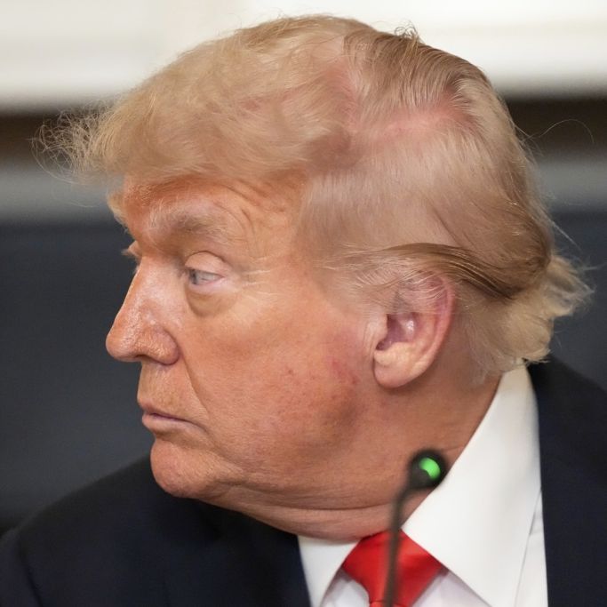 Schlappe für Trumps Militärparade - US-Präsident sendet 