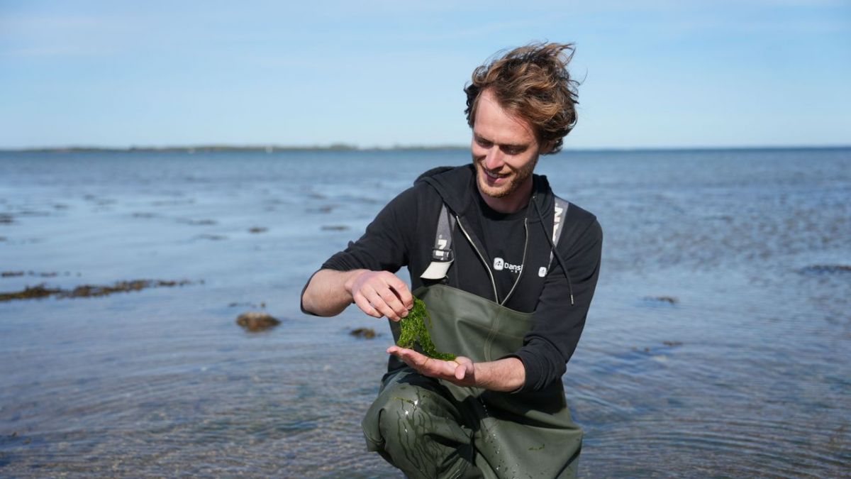 plan b: Superfood neu gedacht bei ZDF plan b: Superfood neu gedacht bei ZDF (Foto)
