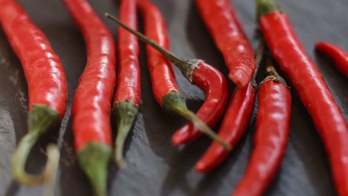 Chilischoten könnten laut Experten dabei helfen, auf natürliche Weise schneller satt zu werden. (Foto)