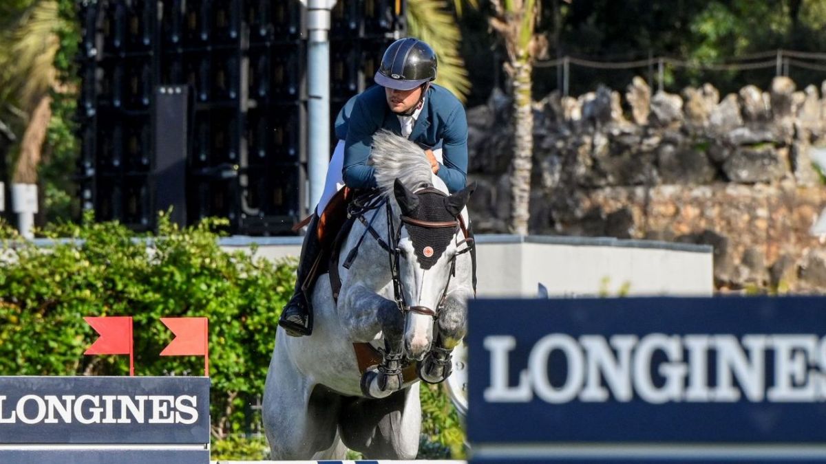 Springreiten: League of Nations Rotterdam bei Eurosport 1 Springreiten: League of Nations Rotterdam bei Eurosport 1 (Foto)