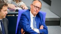 Friedrich Merz (rechts) steht vor einer Umfrage-Zwickmühle.