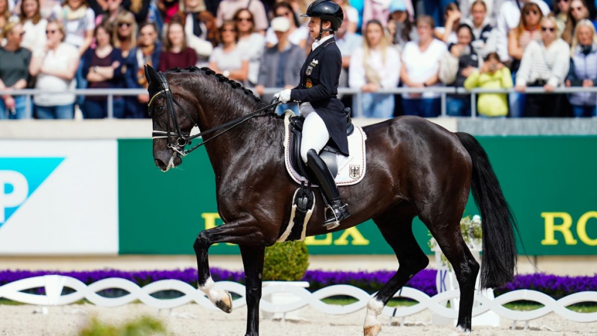 Beim Großen Dressurpreis von Aachen reitet die deutsche Dressurreiterin Isabell Werth auf dem Pferd Wendy de Fontaine durch den Parcours. Beim Großen Dressurpreis von Aachen reitet die deutsche Dressurreiterin Isabell Werth auf dem Pferd Wendy de Fontaine durch den Parcours. (Foto)