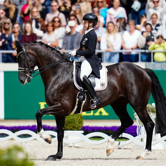 Deutsche Serie im Großen Preis endet - alle Ergebnissen aus Aachen