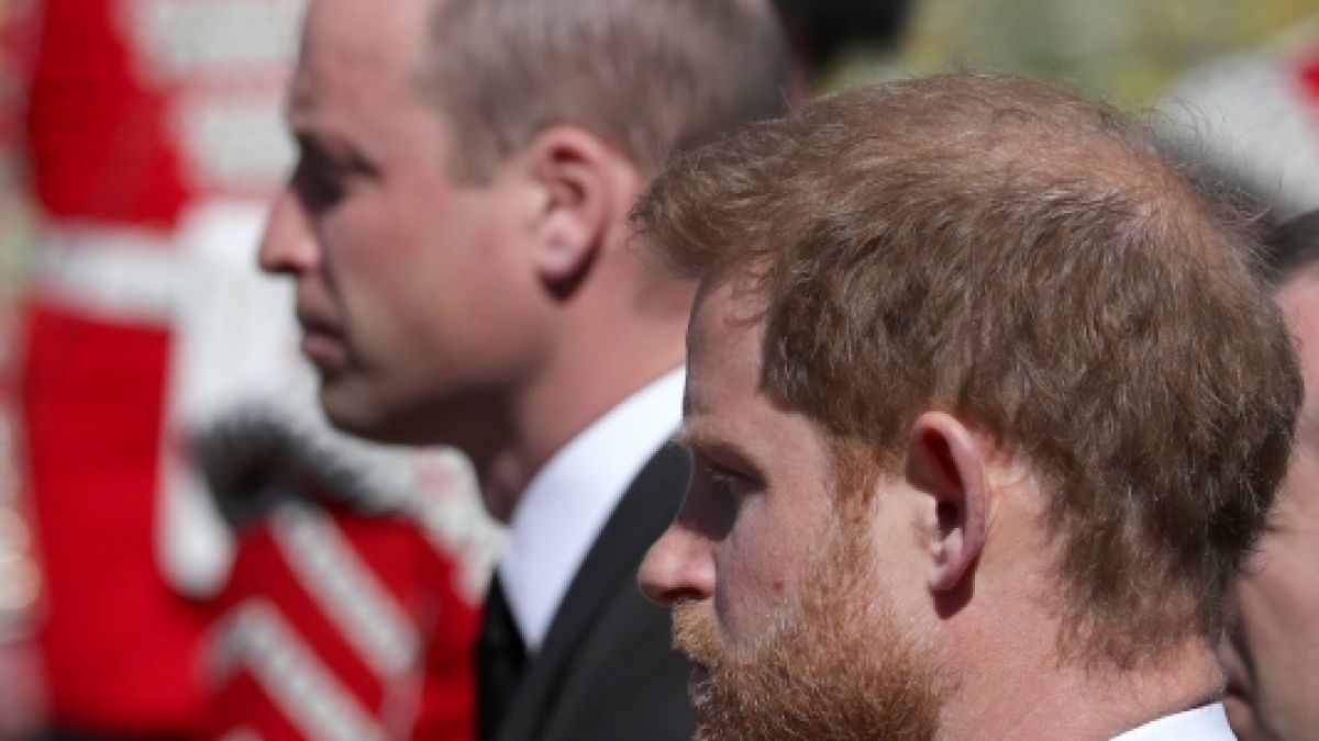 Prinz Harry macht sich bereits Hoffnungen auf eine Rückkehr seiner Kinder ins britische Königshaus - doch da scheint der Herzog von Sussex die Rechnung ohne seinen Bruder Prinz William gemacht zu haben. (Foto)