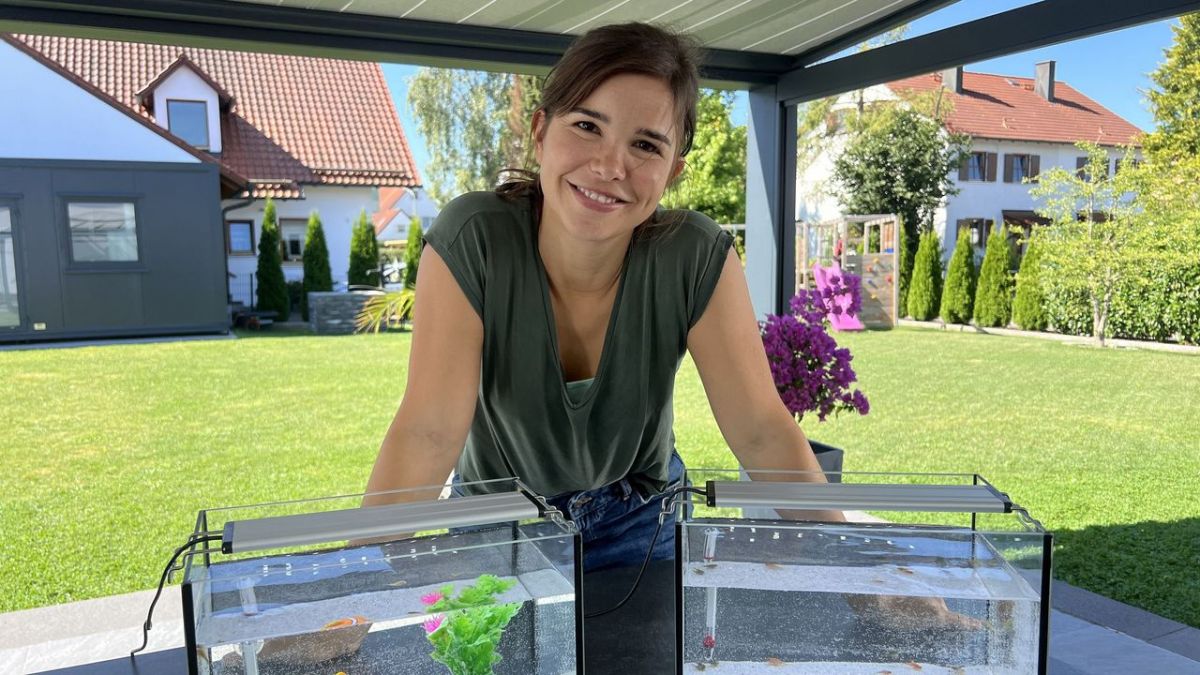 Anna und die Haustiere bei KiKA Anna und die Haustiere bei KiKA (Foto)