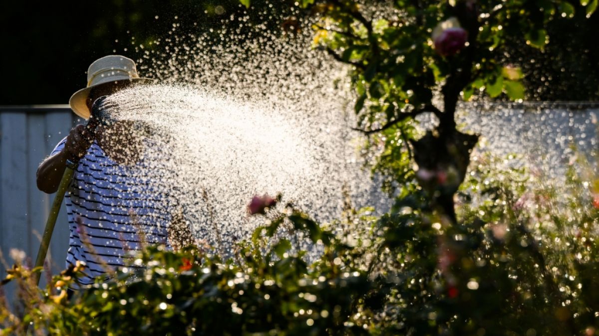 Bei extremen Dürreperioden kann es sich lohnen, etwas Wasser angespart zu haben. Bei extremen Dürreperioden kann es sich lohnen, etwas Wasser angespart zu haben. (Foto)