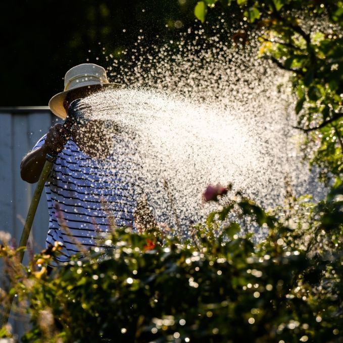 Dürre-Gefahr: So schützen Sie Ihren Garten vor der Hitzewelle