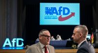 AfD plant Alleinregierung in Sachsen-Anhalt ab 2026 mit Ulrich Siegmund als Ministerpräsident. 