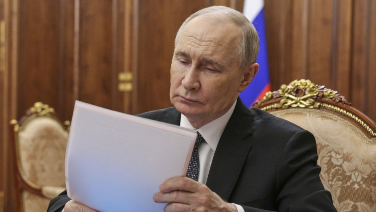Wladimir Putin und seine Verbündeten wollen, dass der Westen seine Militärhilfe für die Ukraine einstellt. (Foto)